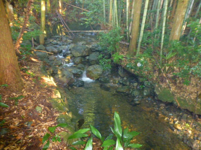 ③建物（南側）の横に小川が流れています。