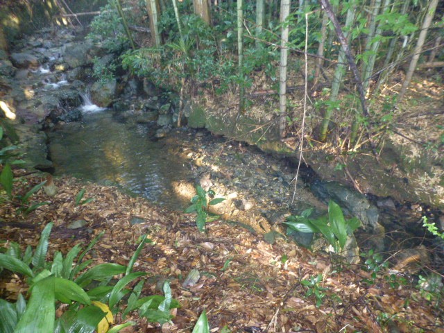 ③建物（南側）の横に小川が流れています。