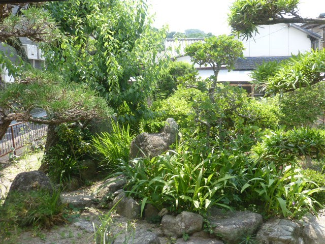 お庭の樹木