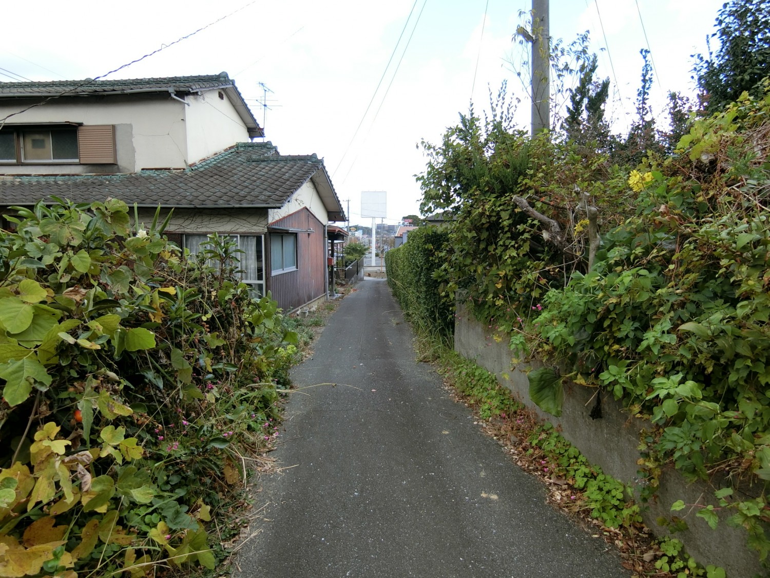 東側の私道部分・法外道路です。