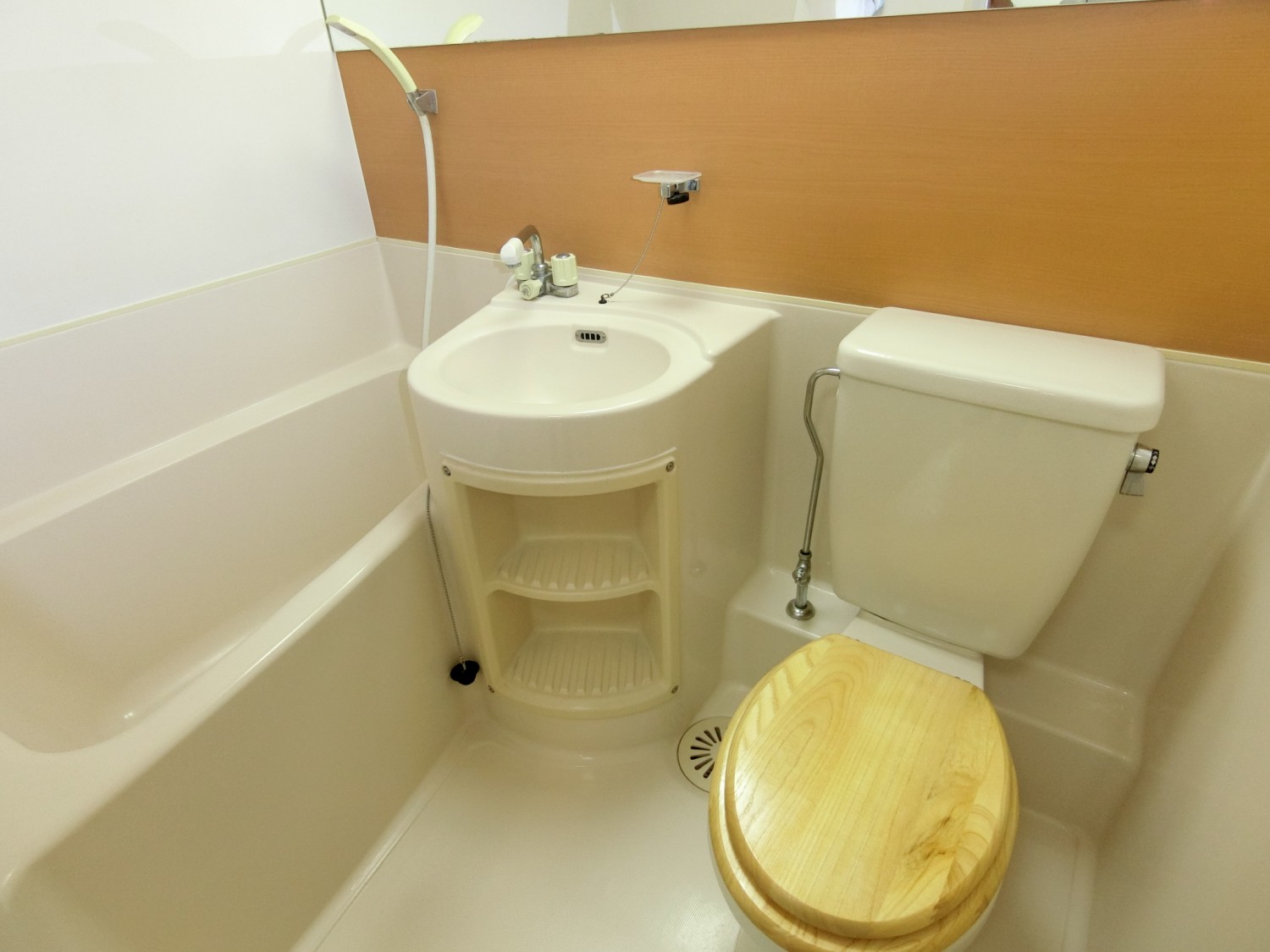 トイレ/洗面台付き浴室