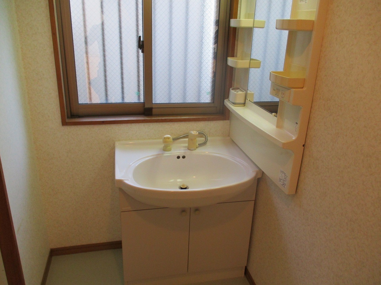 シャンプードレッサー