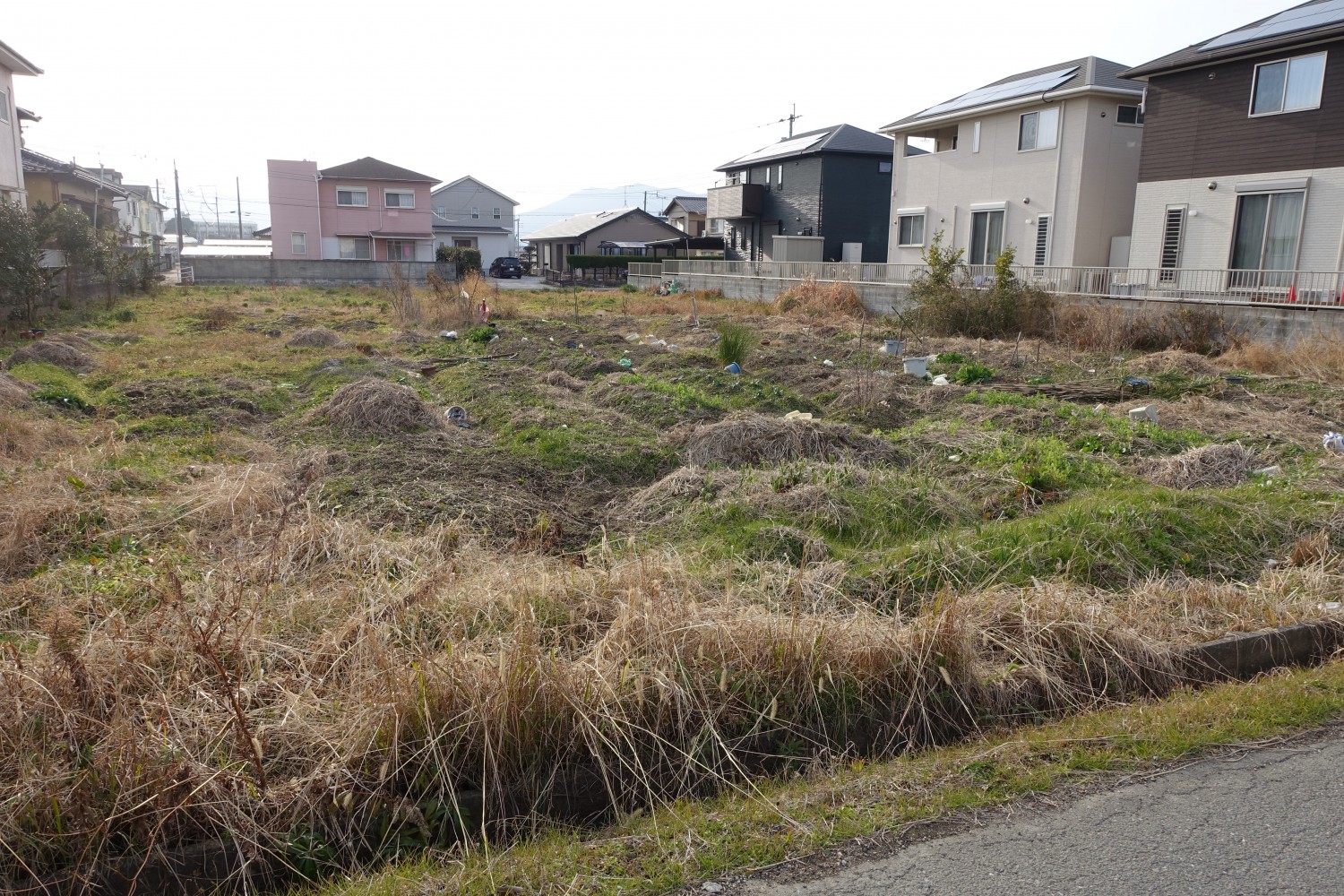 東側より撮影