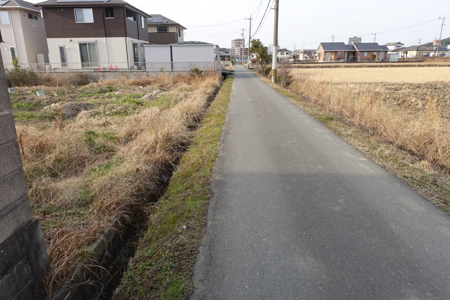 東側の道路を南側より撮影