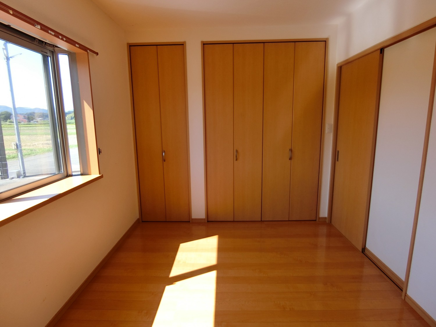 南側　壁面いっぱいのクローゼットがあります