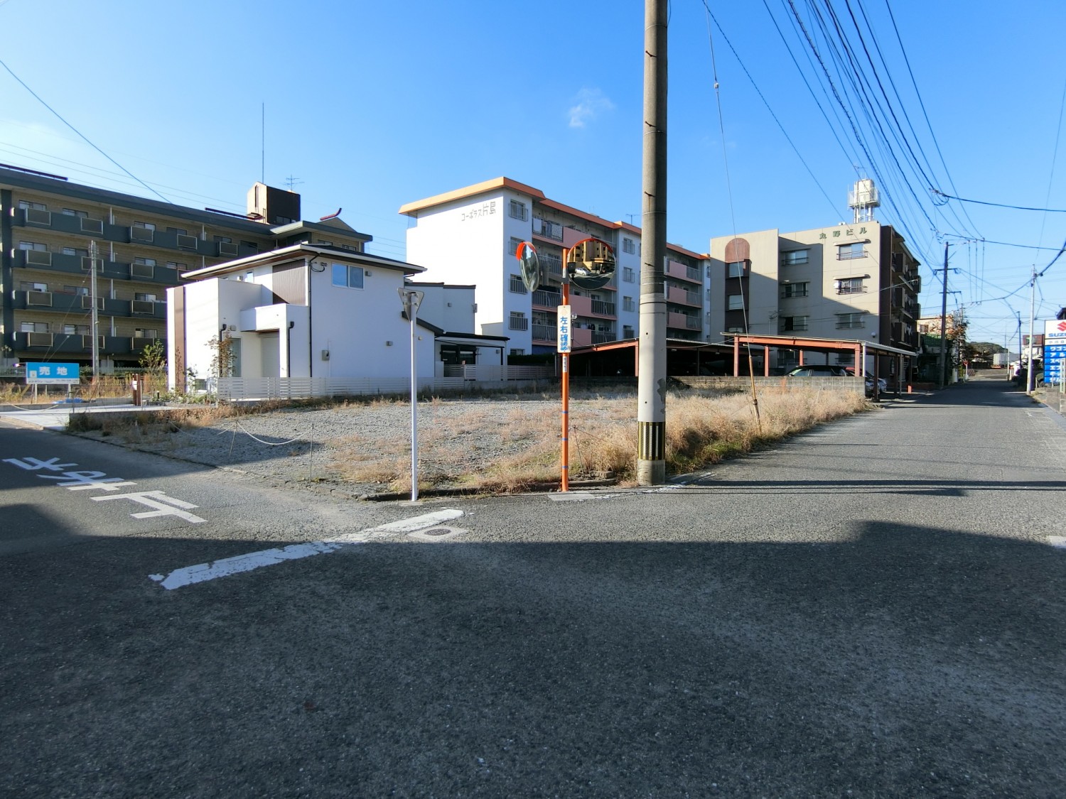 南東側から撮影