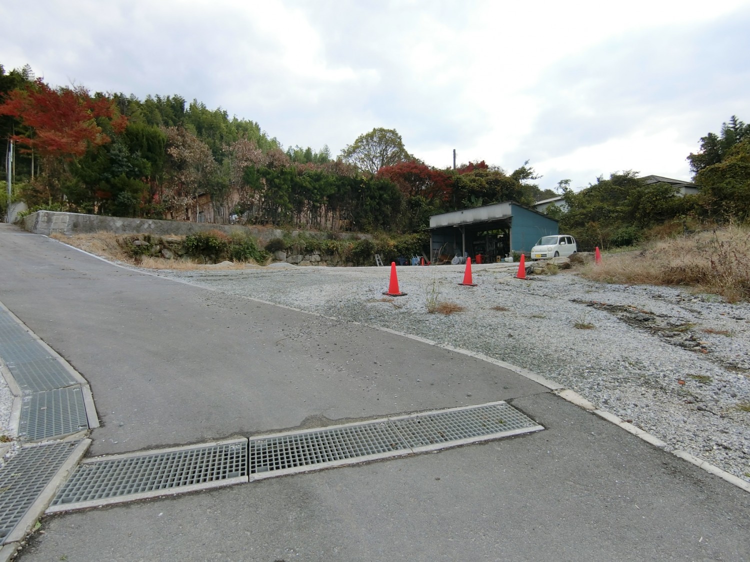 北西側から撮影