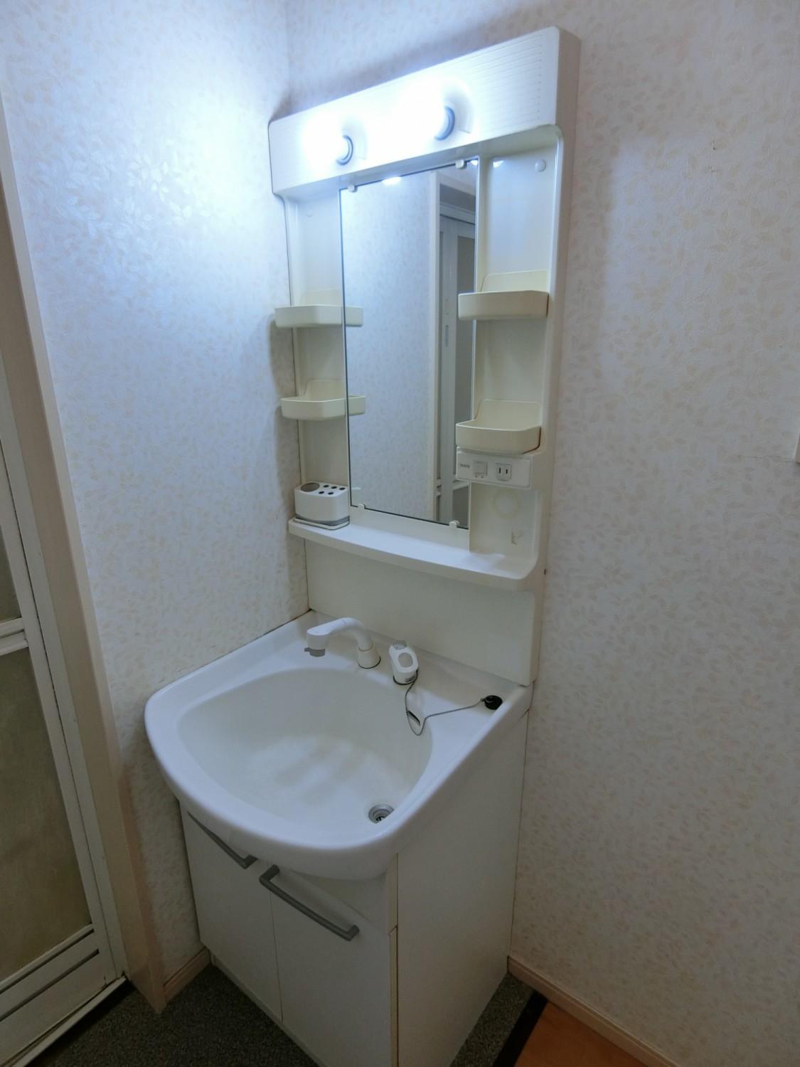 シャンプードレッサー