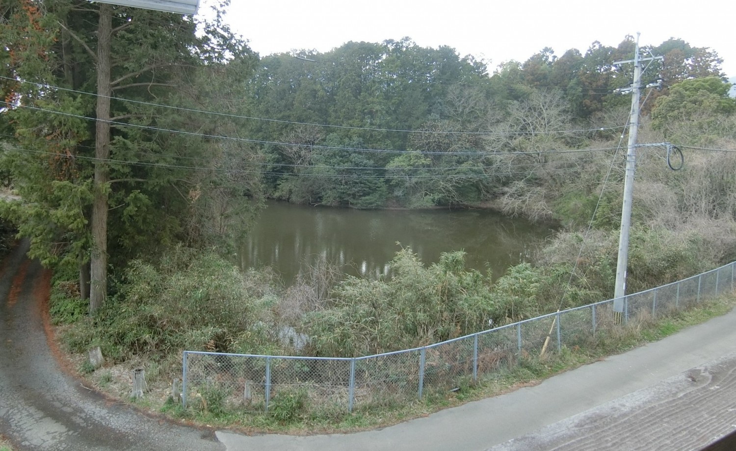 テラスからの眺望が良く、四季折々の池の景色を楽しめます。