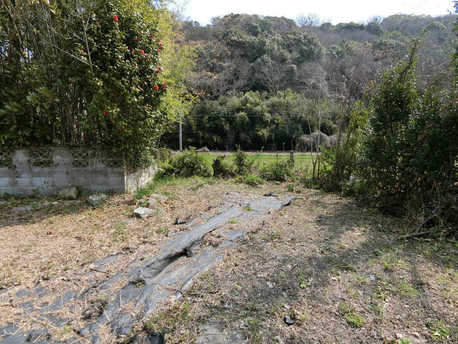 ３０２－４　西側より撮影