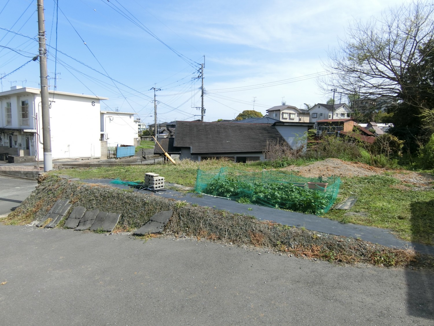 家庭菜園も出来ます。