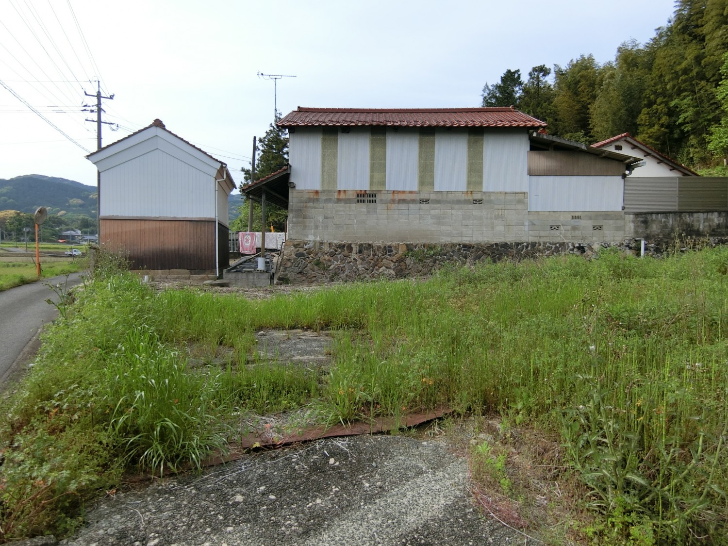 東側より撮影
