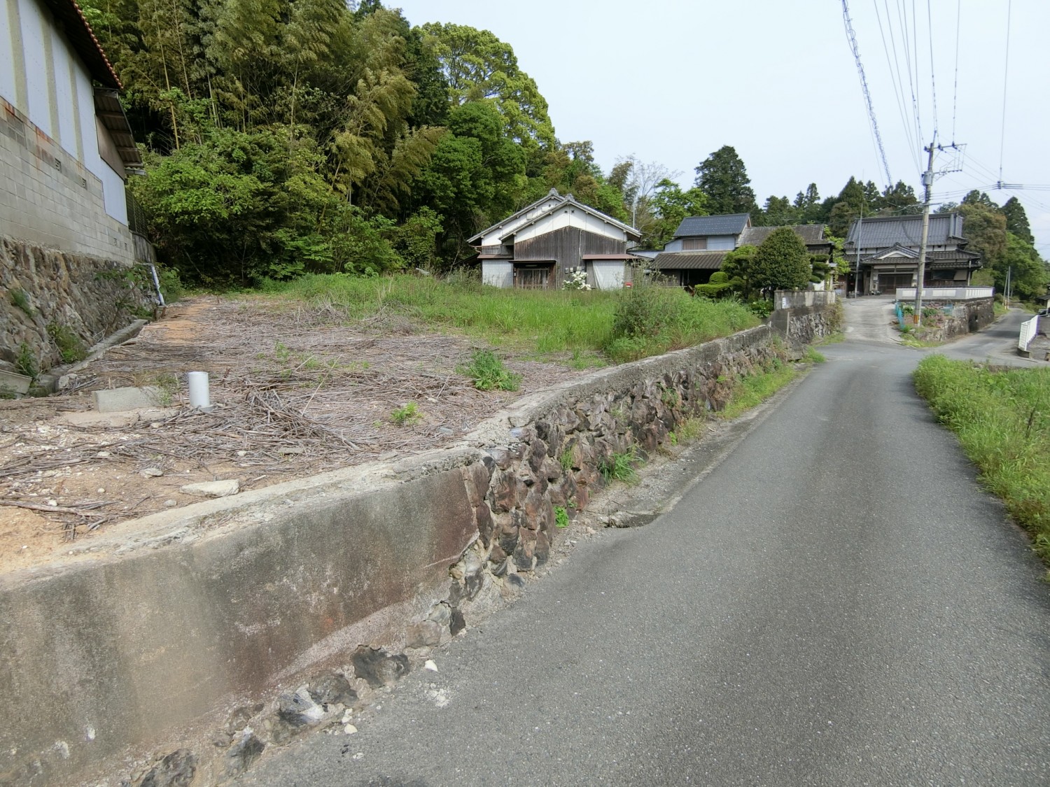 西側より撮影