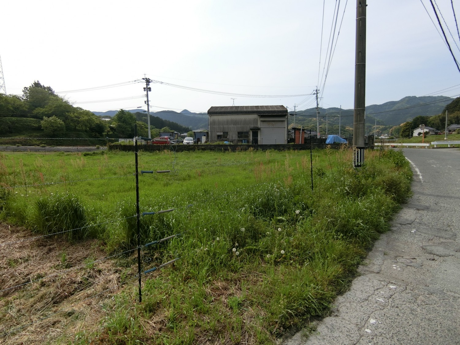 東側道路より撮影