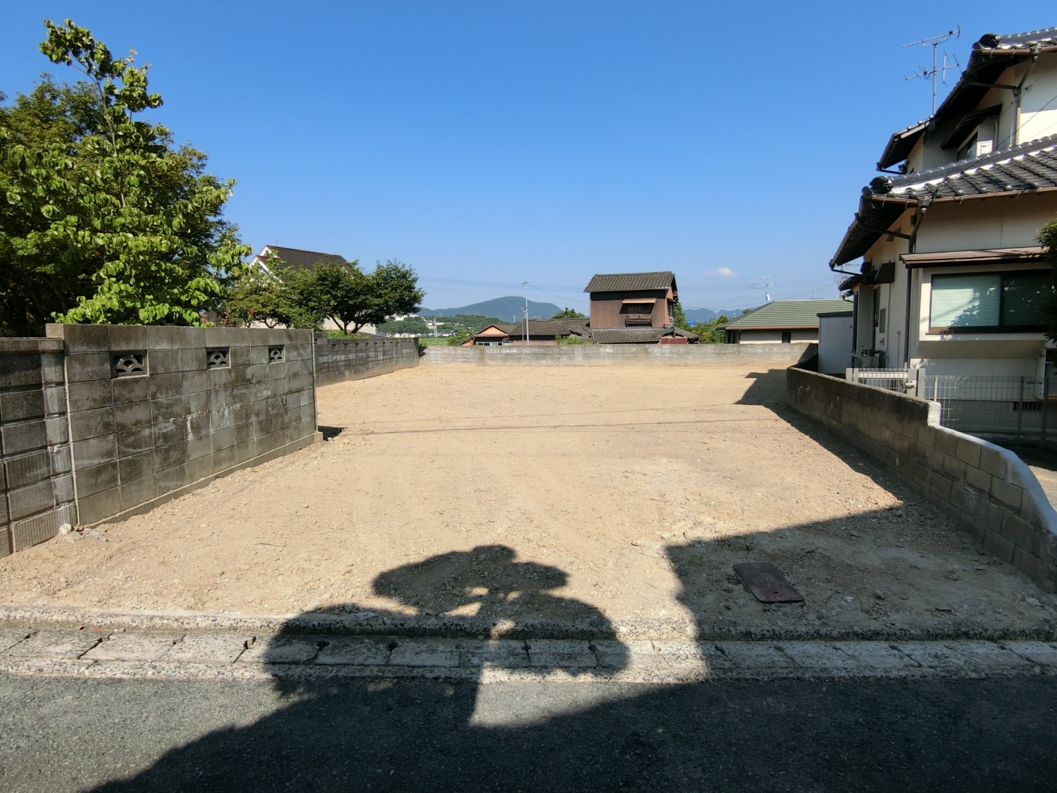 西側道路より撮影