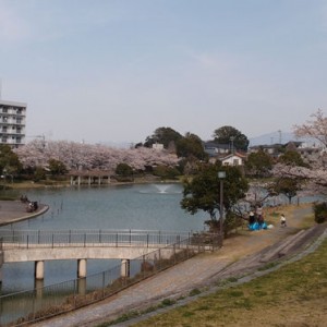 勝盛公園