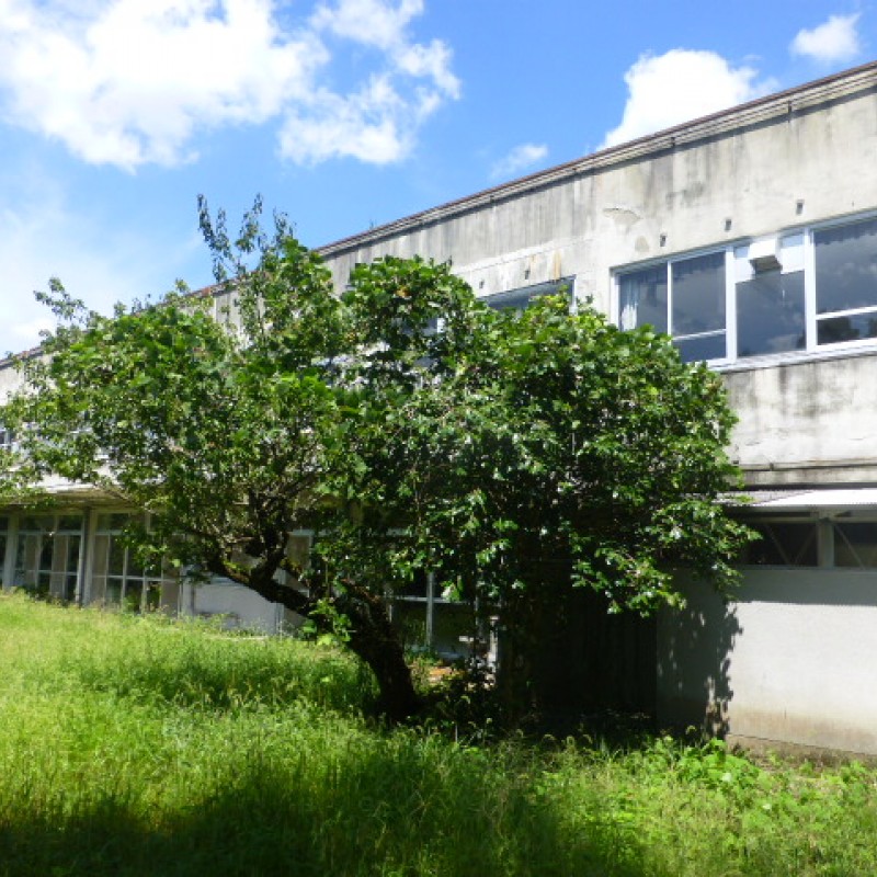 ①建物（宿泊施設跡）