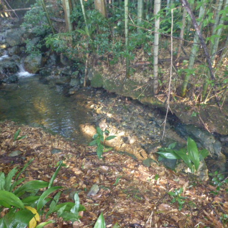 ③建物（南側）の横に小川が流れています。