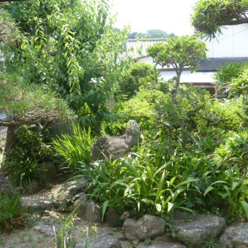 お庭の樹木