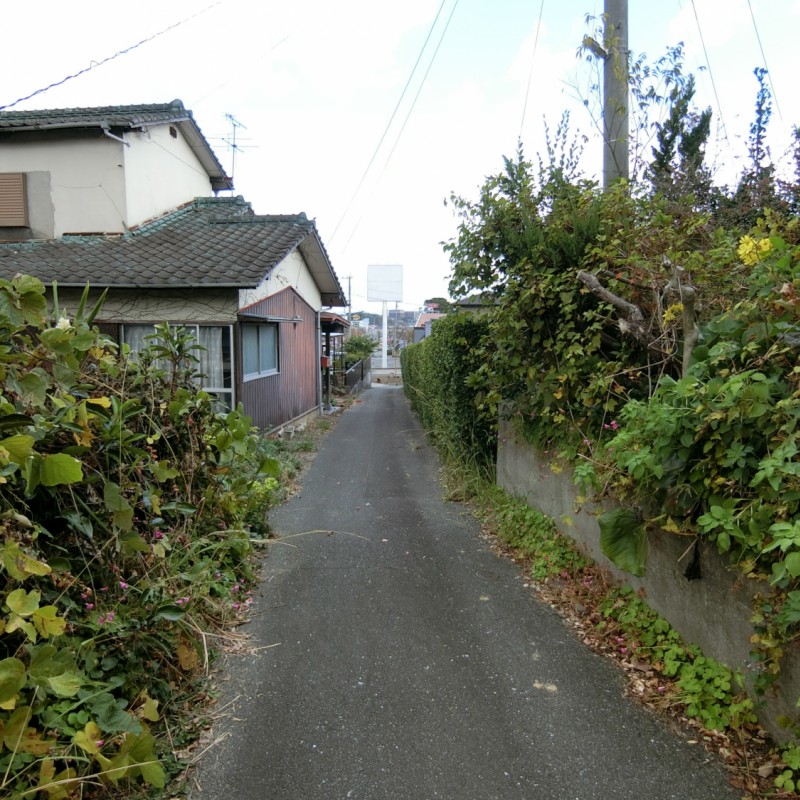 東側の私道部分・法外道路です。