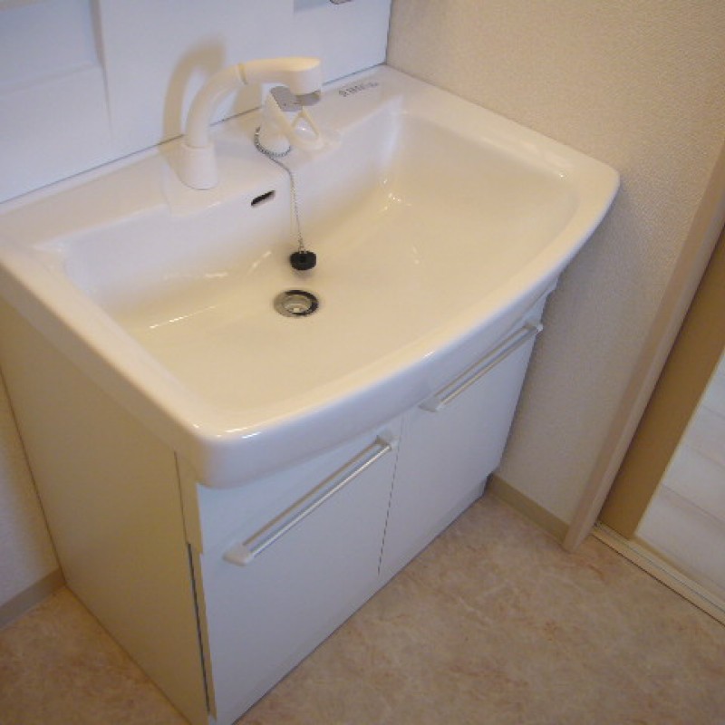 シャンプードレッサー