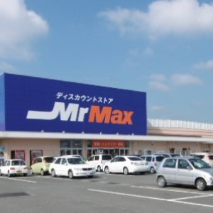Mr.Max