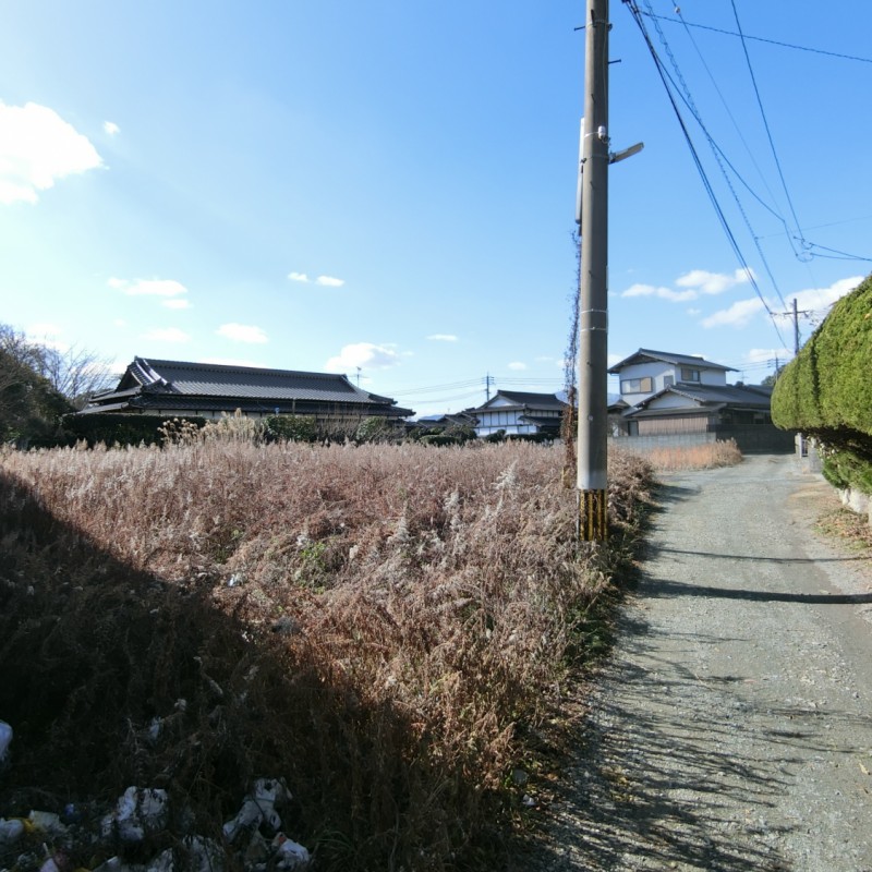 東から撮影
