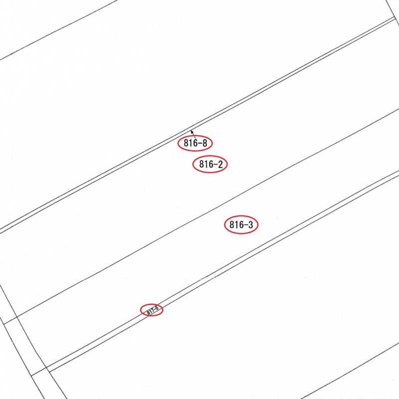 字図