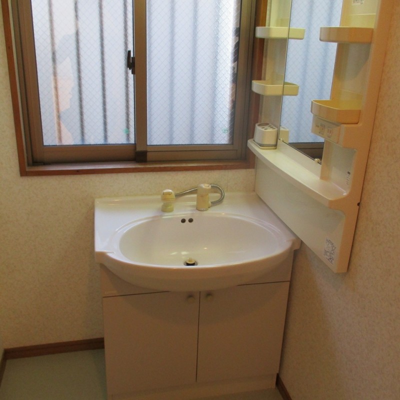 シャンプードレッサー