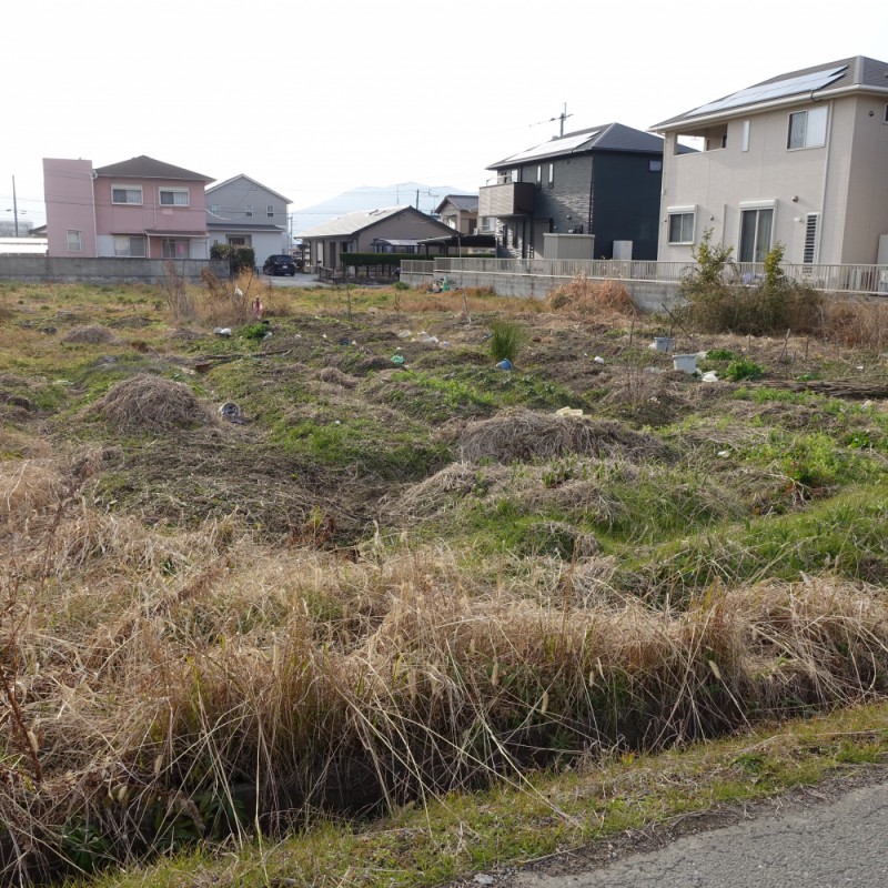 東側より撮影