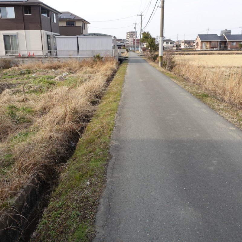 東側の道路を南側より撮影