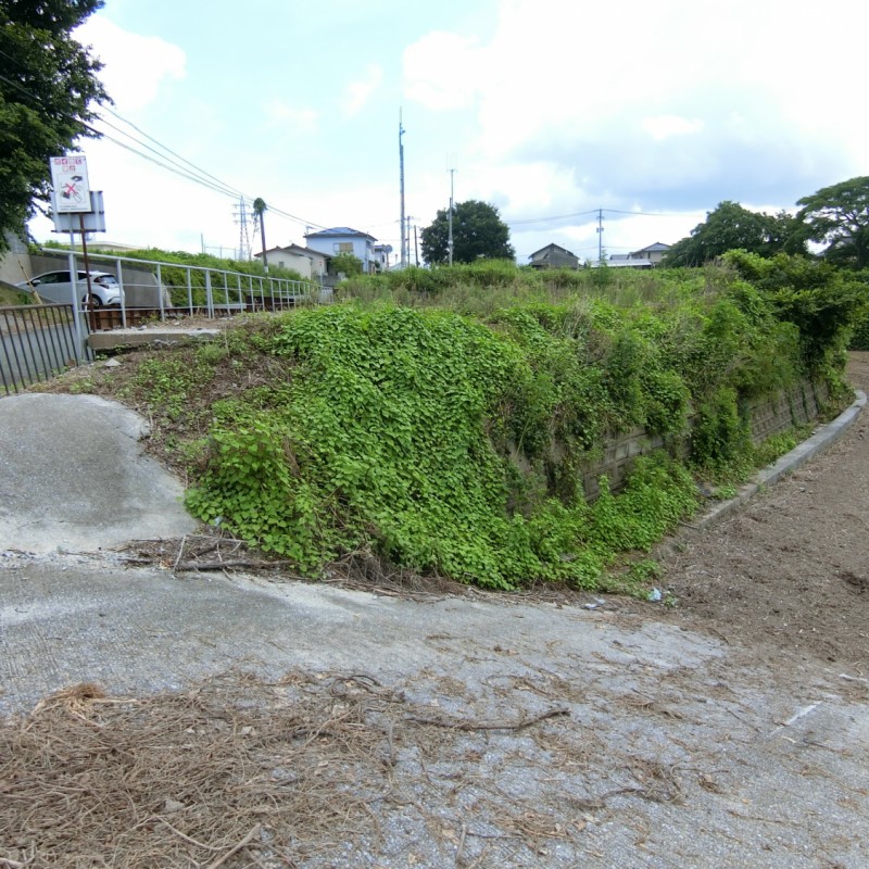 西側より撮影