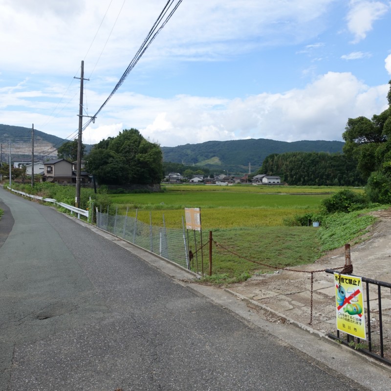 南東側より撮影