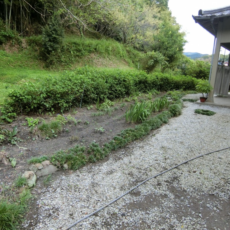北側の裏庭