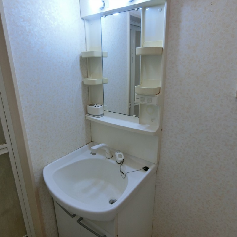 シャンプードレッサー