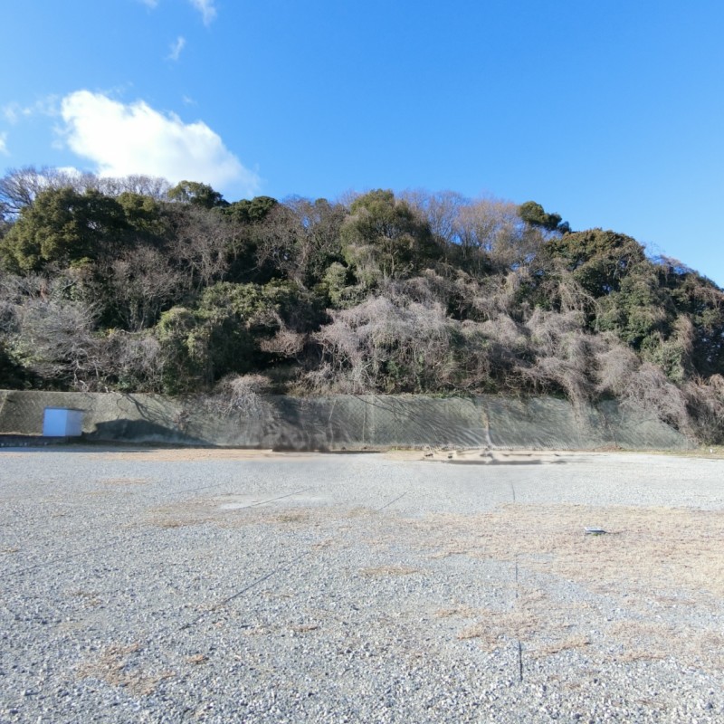 上の山林部分（下の砂利部分は取引対象外）