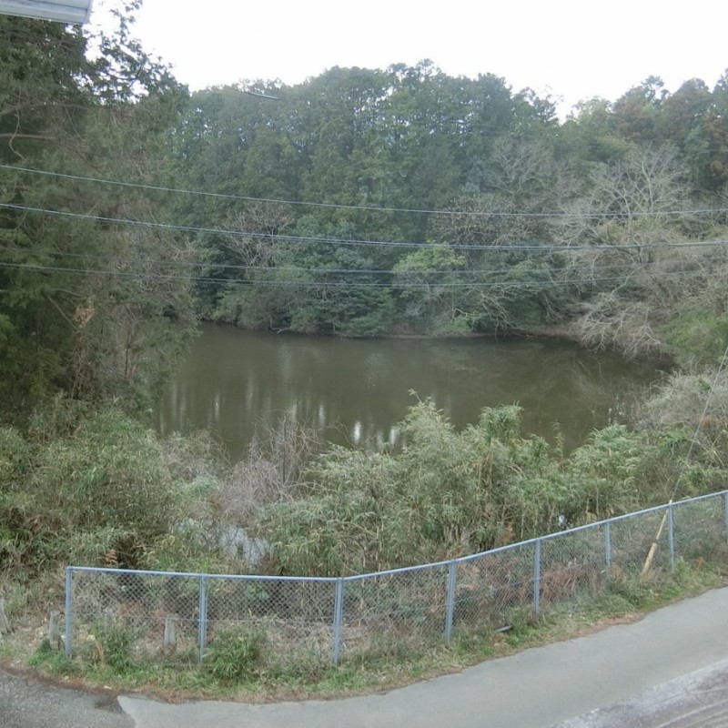 テラスからの眺望が良く、四季折々の池の景色を楽しめます。