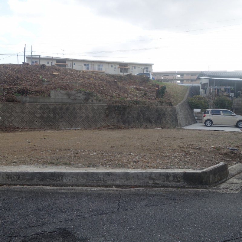 北側道路より撮影（南側の崖に面しています）