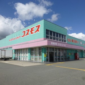 ドラッグコスモス穂波店