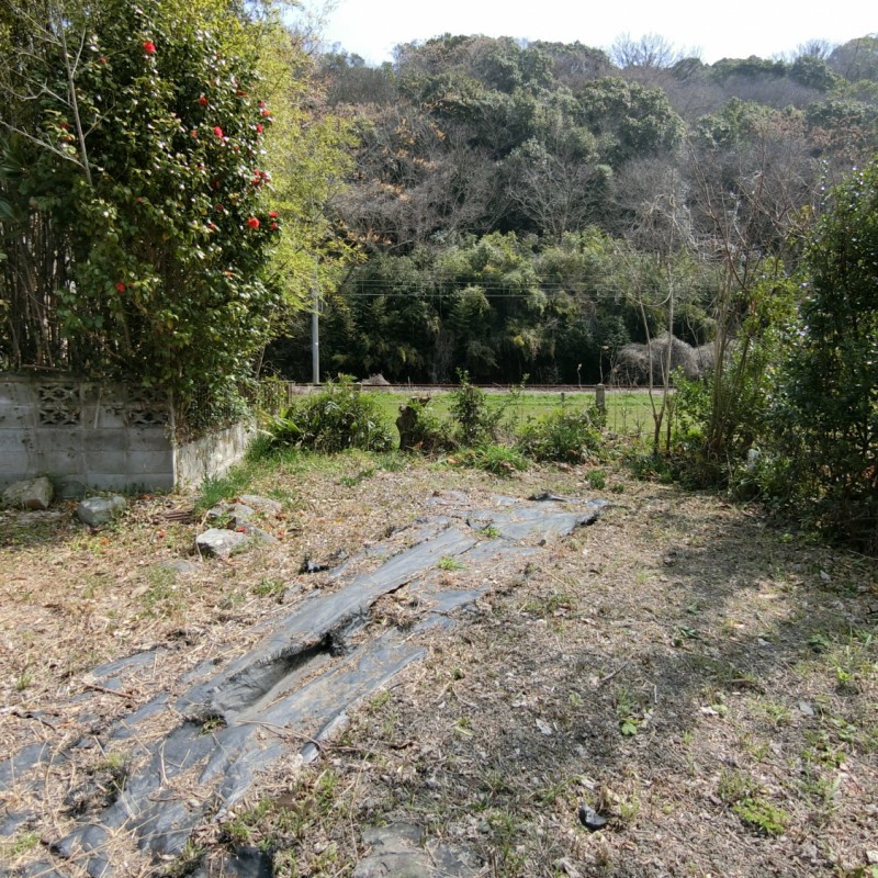 ３０２－４　西側より撮影