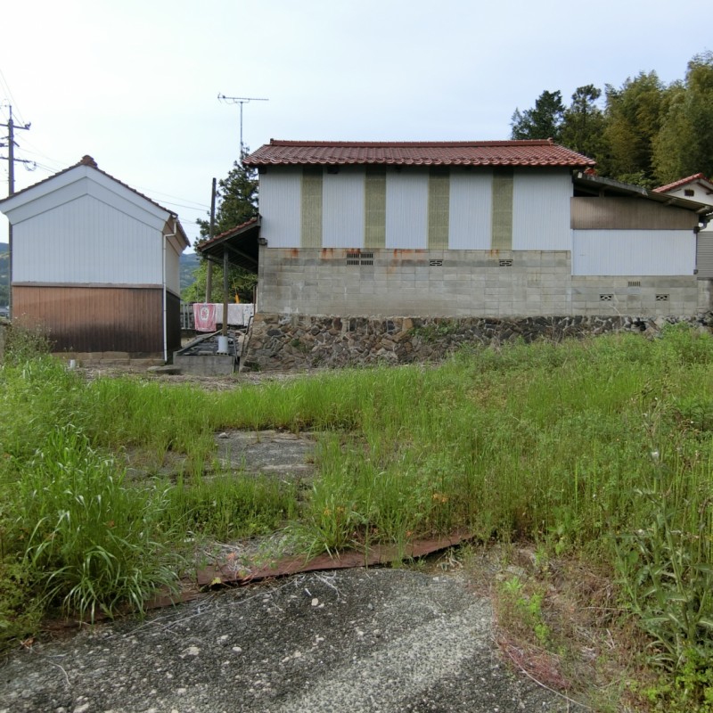 東側より撮影