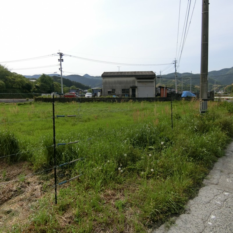 東側道路より撮影