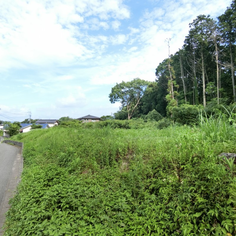 西側より撮影