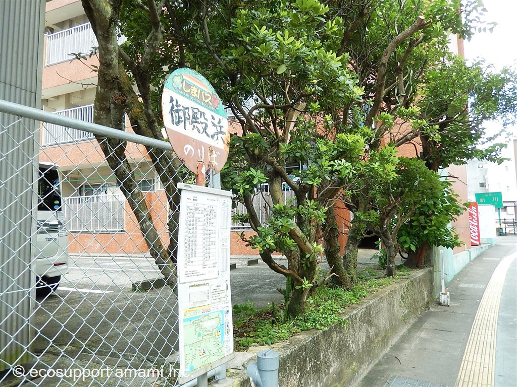 バス停は目の前です