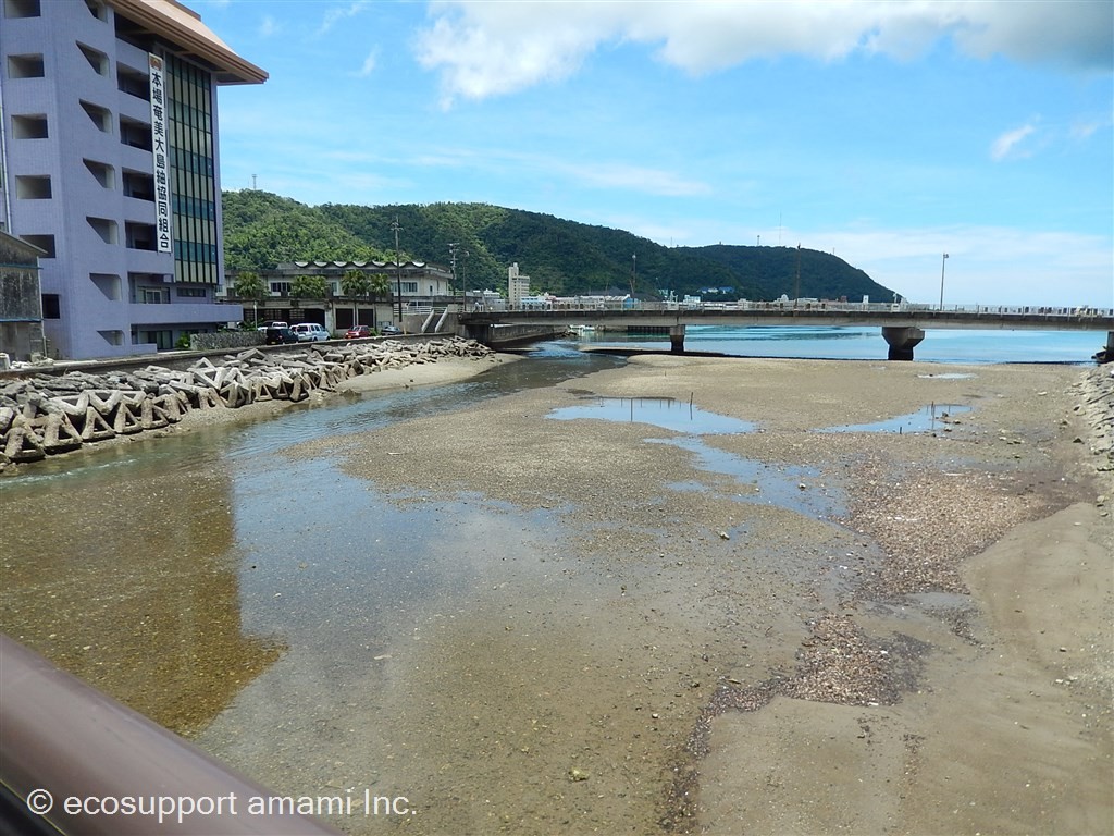 リバーサイドで名瀬湾も目の前に！