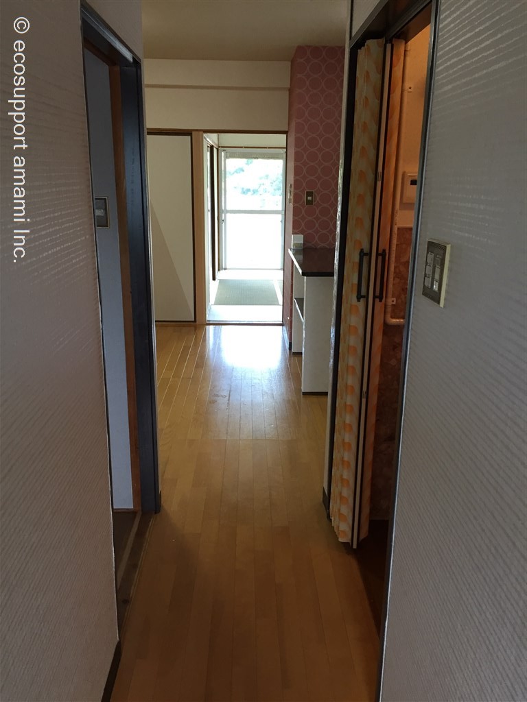 玄関から室内へ