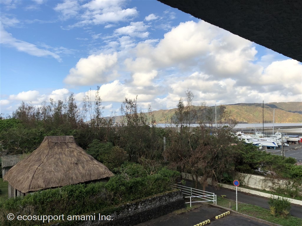 海岸公園すぐ近く