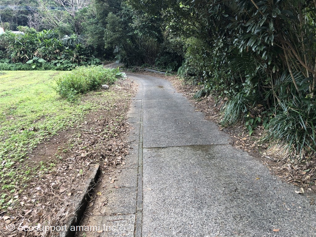 前面道路-西から東向き