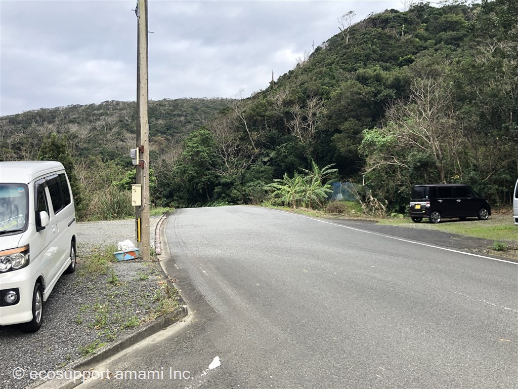 東側トンネル・里集落へ抜ける道路