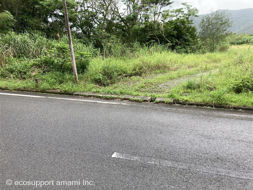 道路入口